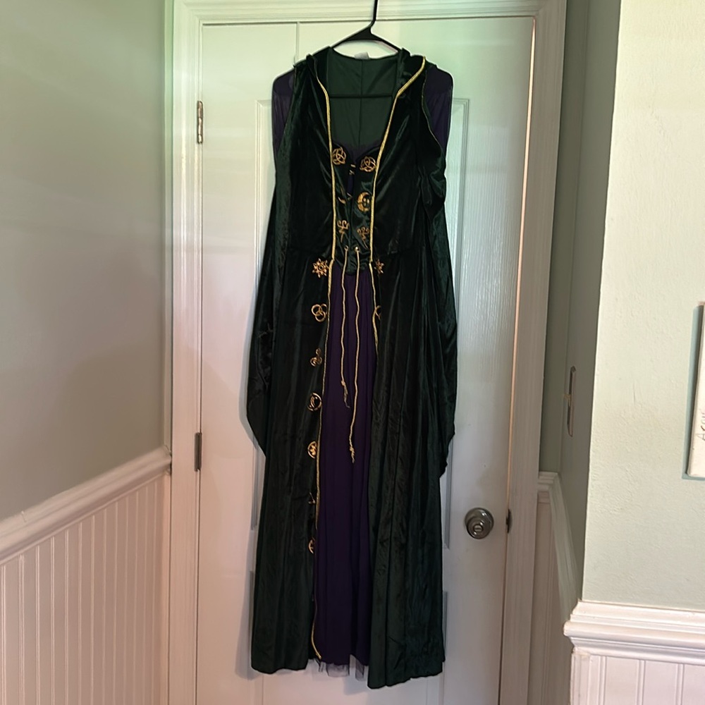 Disney costume Hocos pocus Winnie. Like new worn once .‎